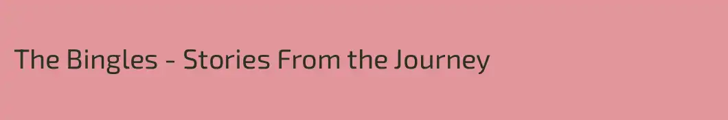 The Bingles - Stories From the Journey